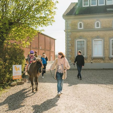 Buedlfarm - Der Familien-Erlebnishof In Strandnaehe Fehmarn Kültér fotó