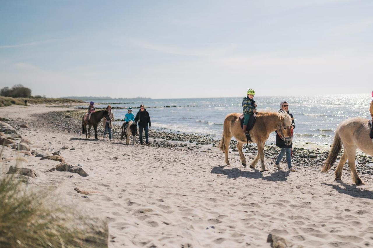 Buedlfarm - Der Familien-Erlebnishof In Strandnaehe Fehmarn Kültér fotó