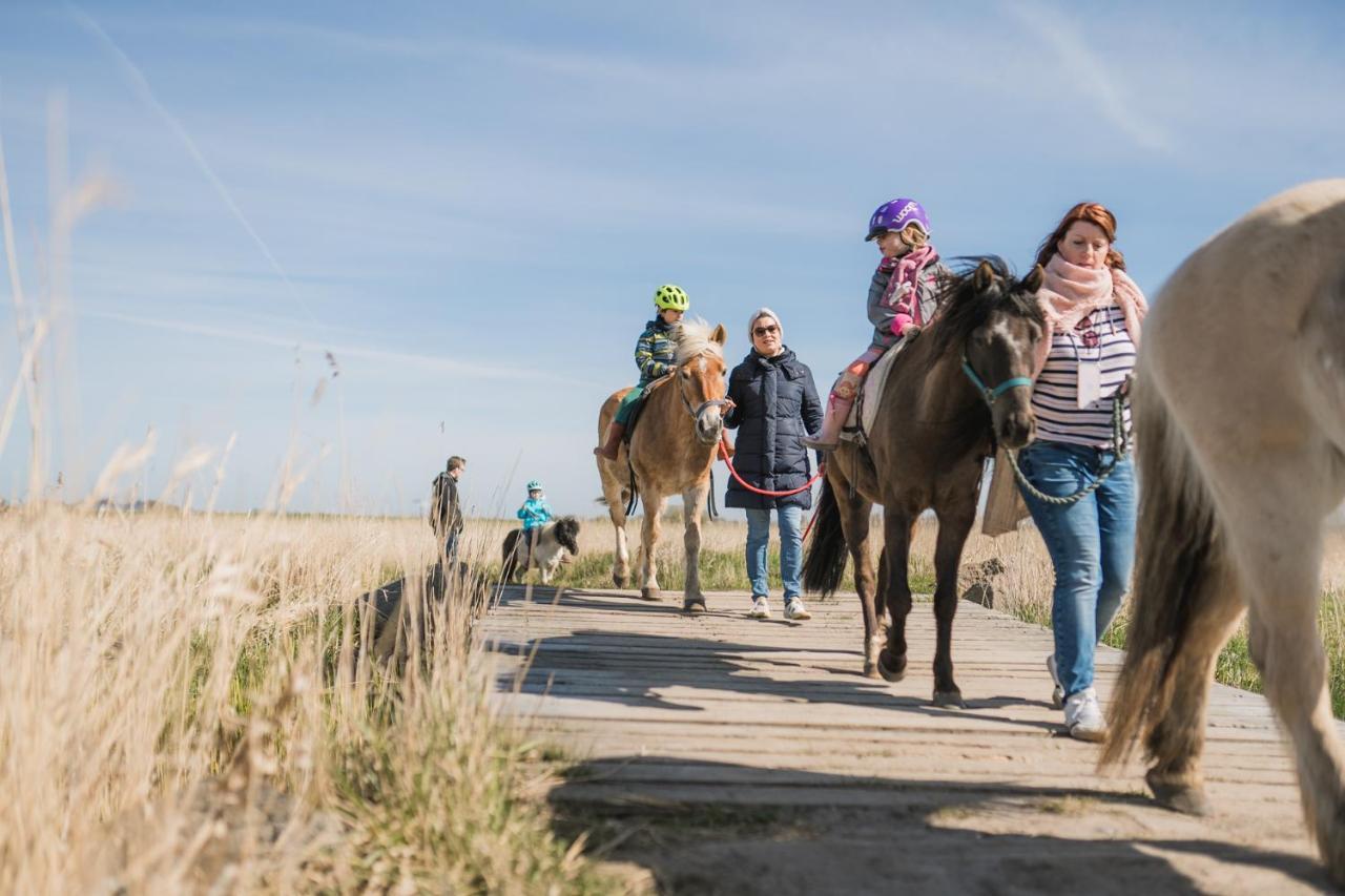 Buedlfarm - Der Familien-Erlebnishof In Strandnaehe Fehmarn Kültér fotó