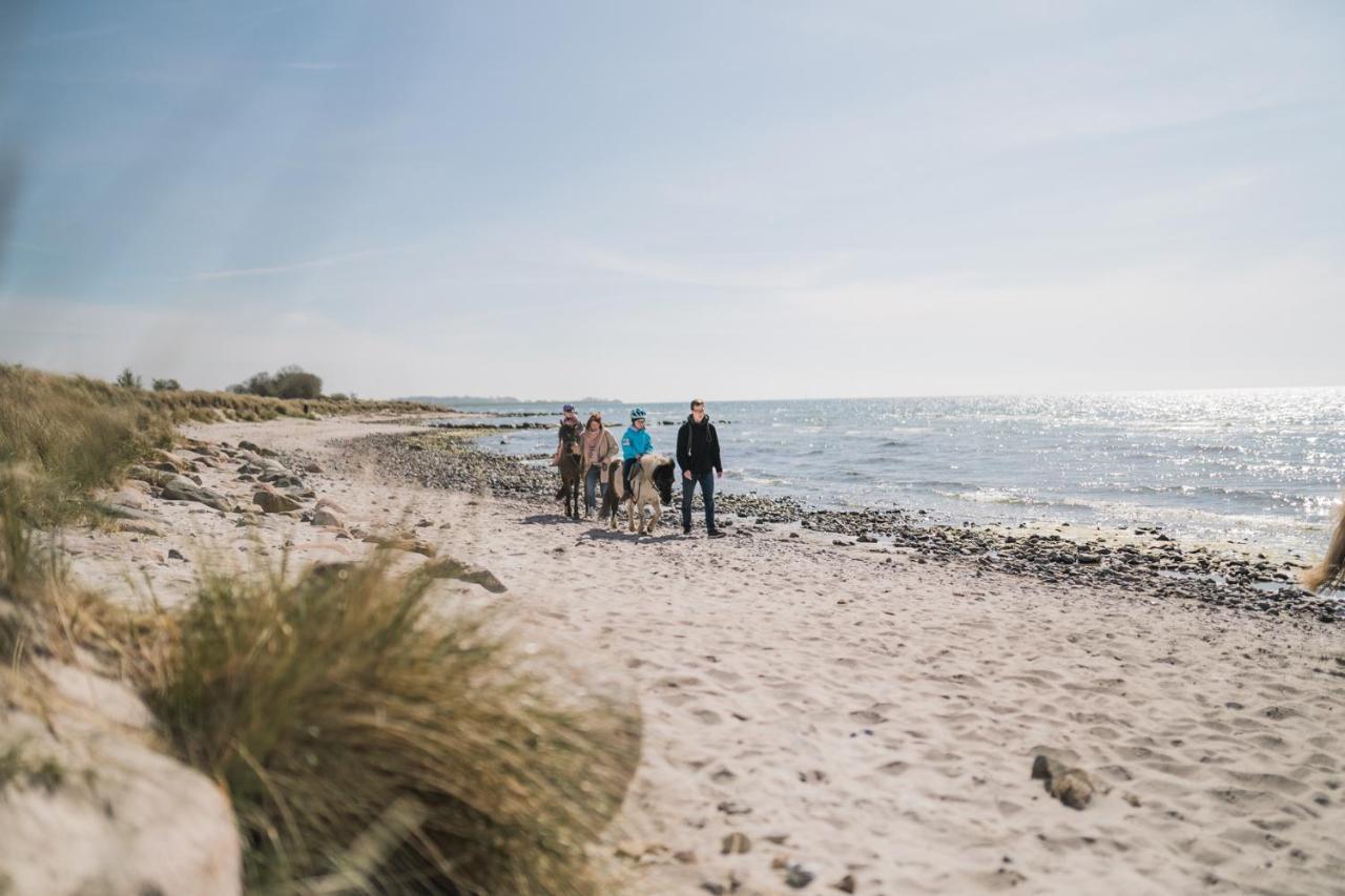 Buedlfarm - Der Familien-Erlebnishof In Strandnaehe Fehmarn Kültér fotó