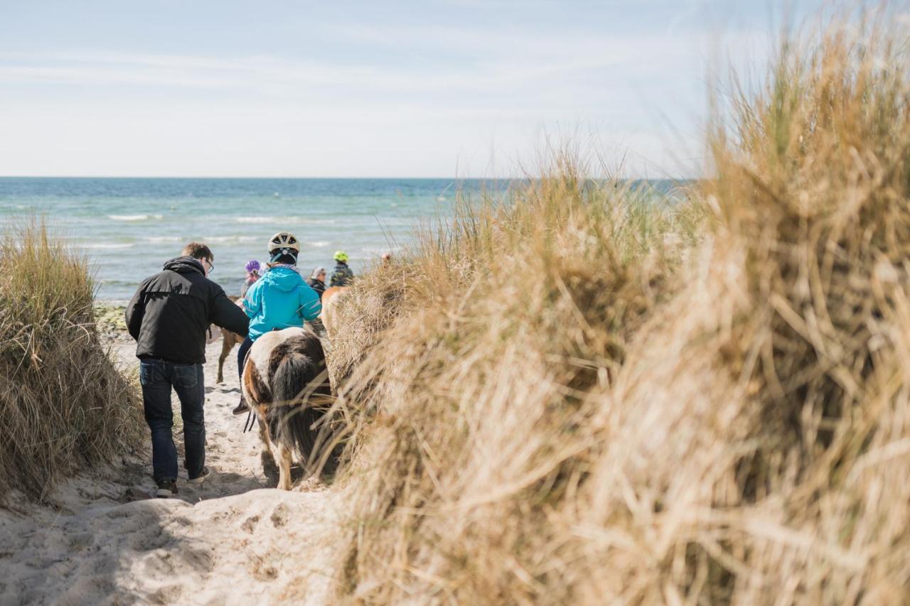Buedlfarm - Der Familien-Erlebnishof In Strandnaehe Fehmarn Kültér fotó