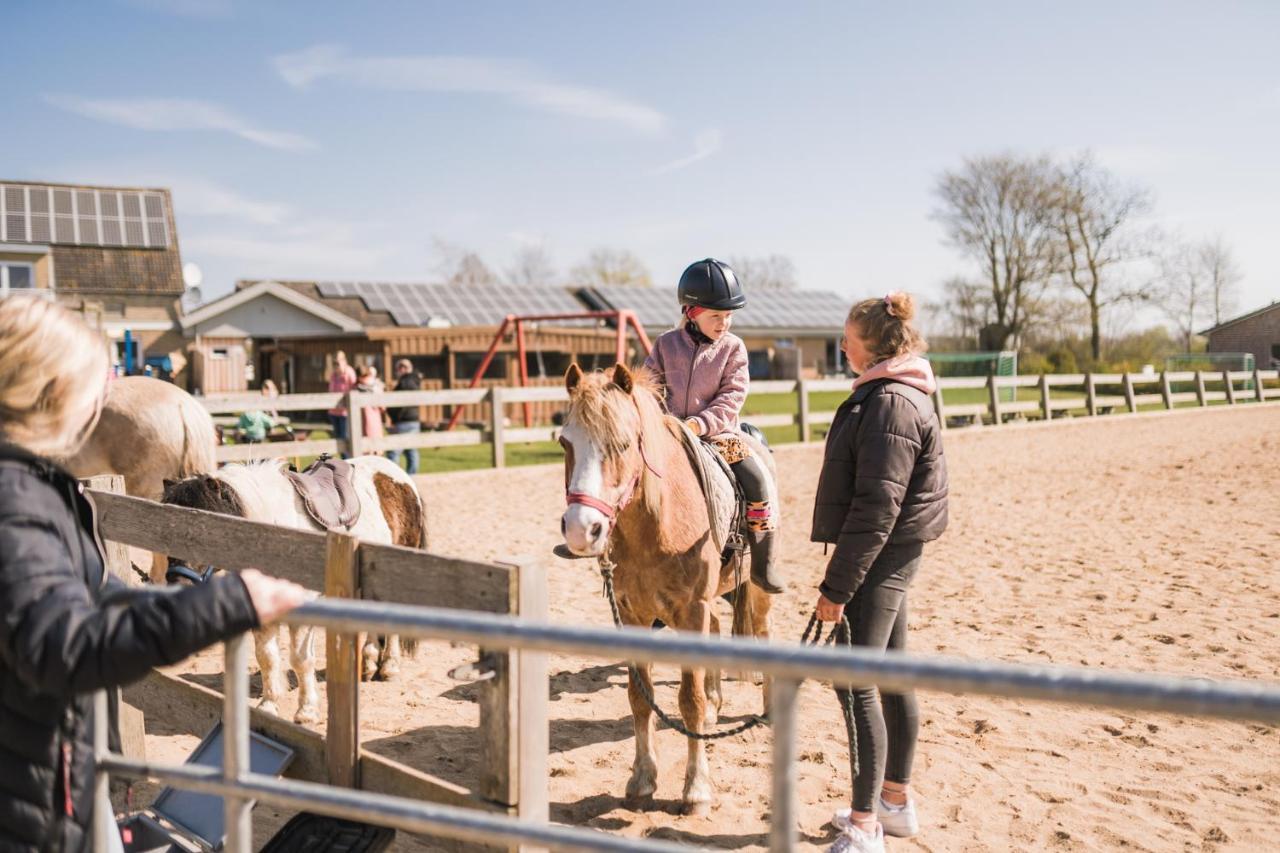 Buedlfarm - Der Familien-Erlebnishof In Strandnaehe Fehmarn Kültér fotó