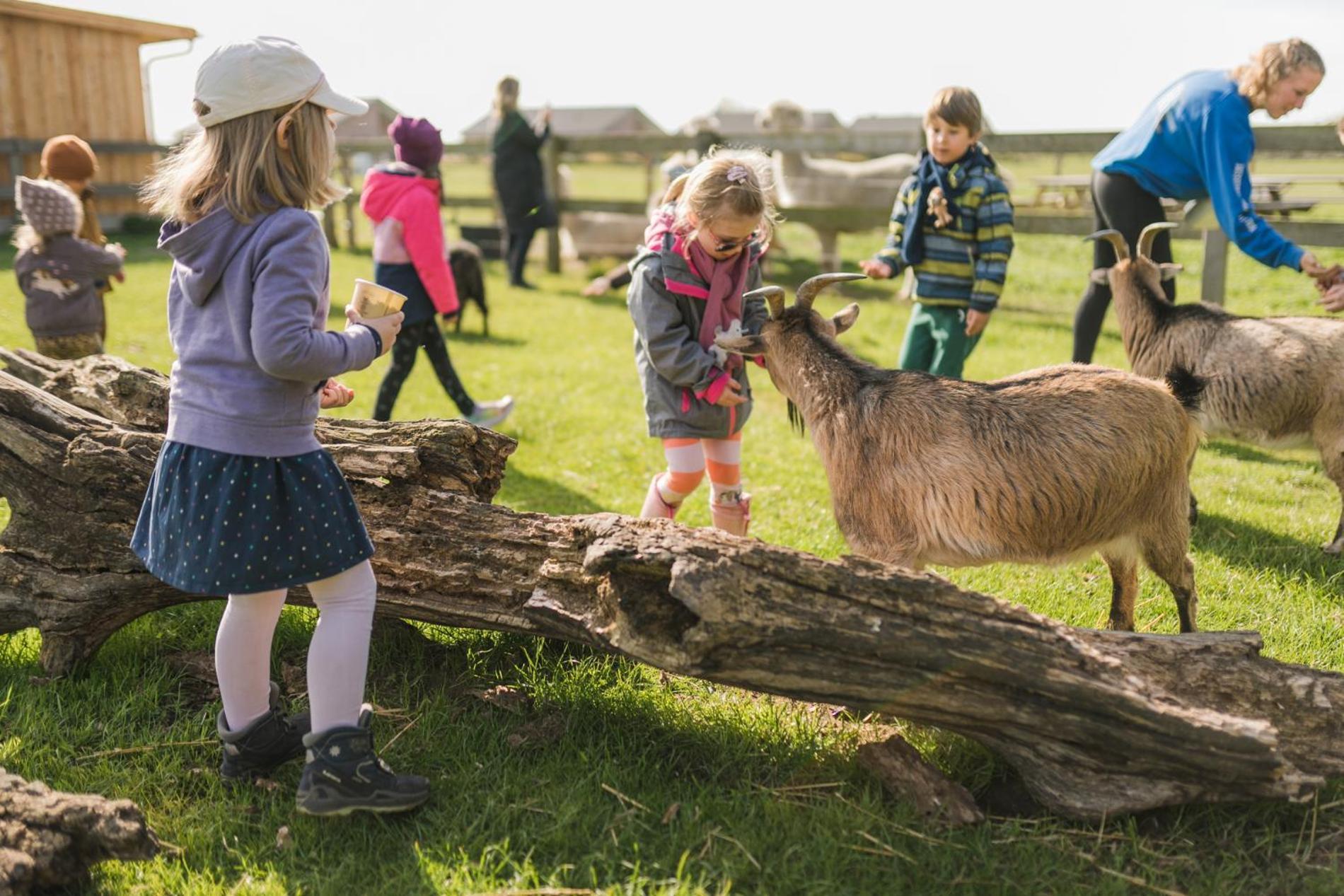 Buedlfarm - Der Familien-Erlebnishof In Strandnaehe Fehmarn Kültér fotó